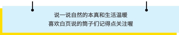 头条号排版编辑软件,头条图文排版教学