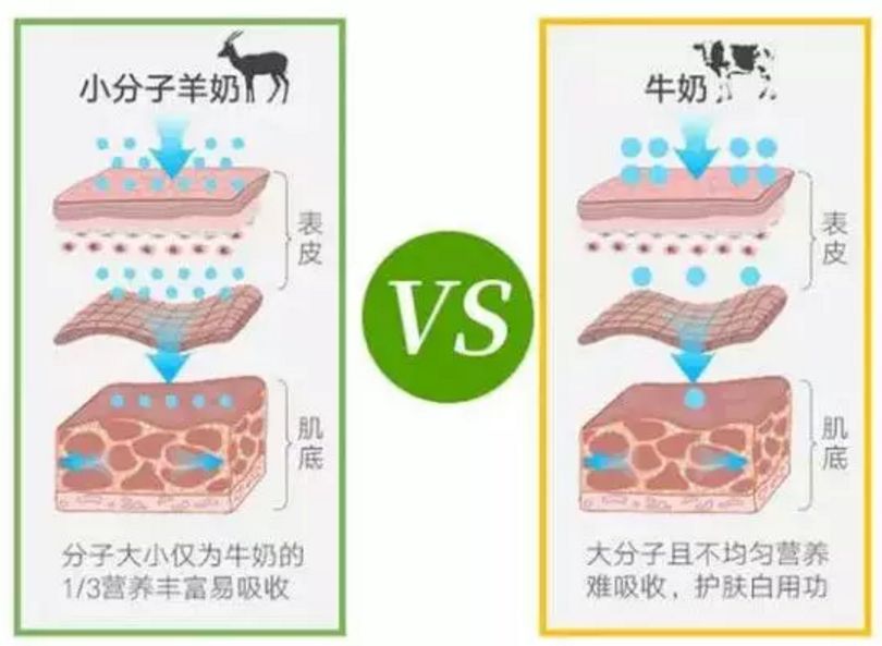 冰岛面膜好物推荐,深海白珍珠面膜