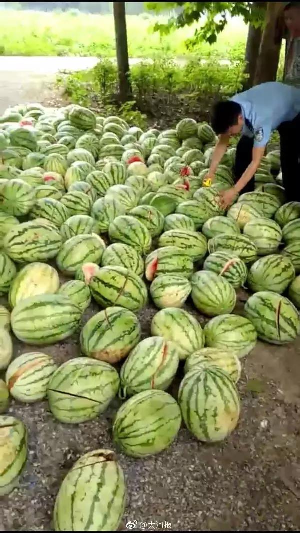 河南高考生落水身亡,河南周口高考生跳河事件