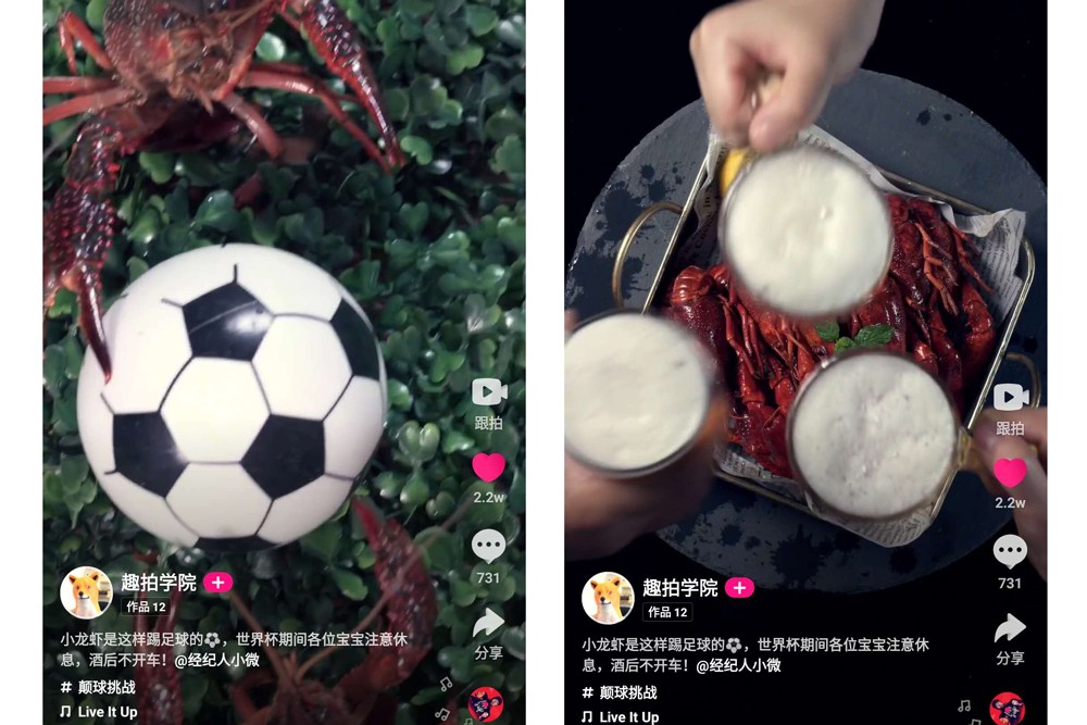 足球世界杯动画,世界杯足球视频精彩剪辑