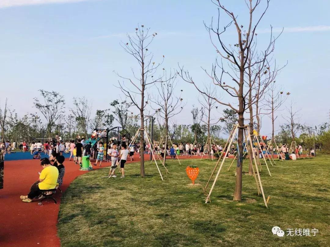 睢宁湿地公园游泳,睢宁室内公园水上乐园