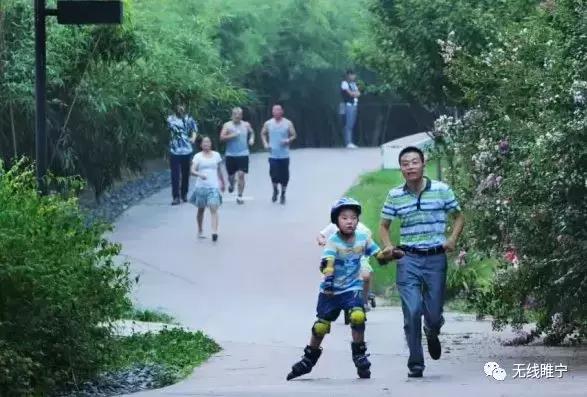 睢宁湿地公园游泳,睢宁室内公园水上乐园