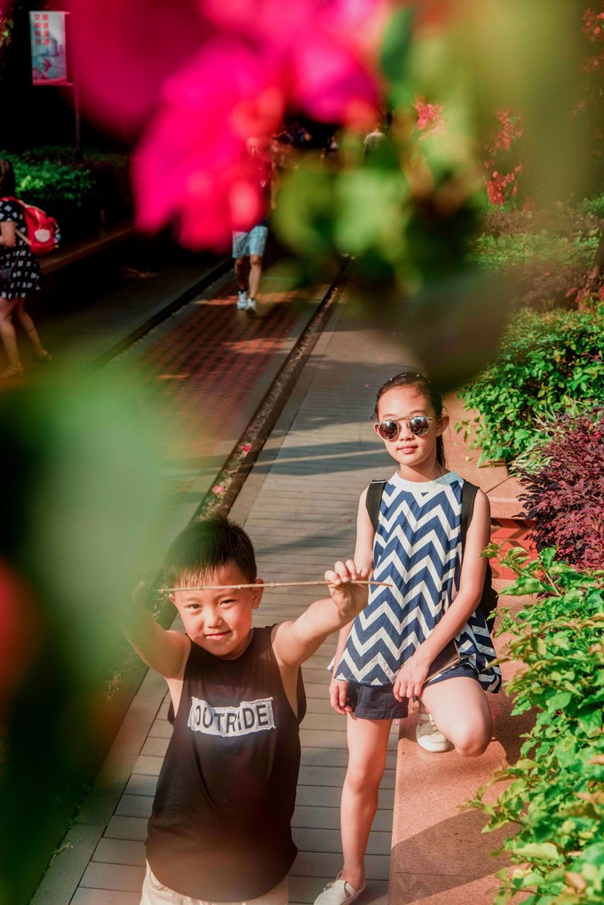 厦门自由行亲子游最强攻略,厦门亲子游详细攻略路线推荐