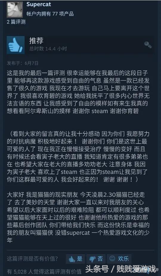 夏促推荐合作游戏,夏促精品游戏