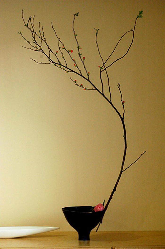 十二星座专属天蝎座的紫色花,闪耀暖暖十二星座金牛座处女座