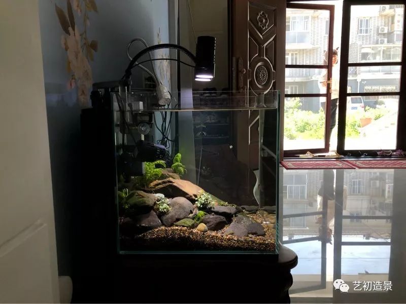 虾虎缸造景要什么过滤器,虾虎缸用什么石头造景好