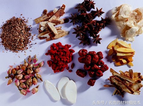 中药材的利润一般是多少,中药的利润怎么这么大