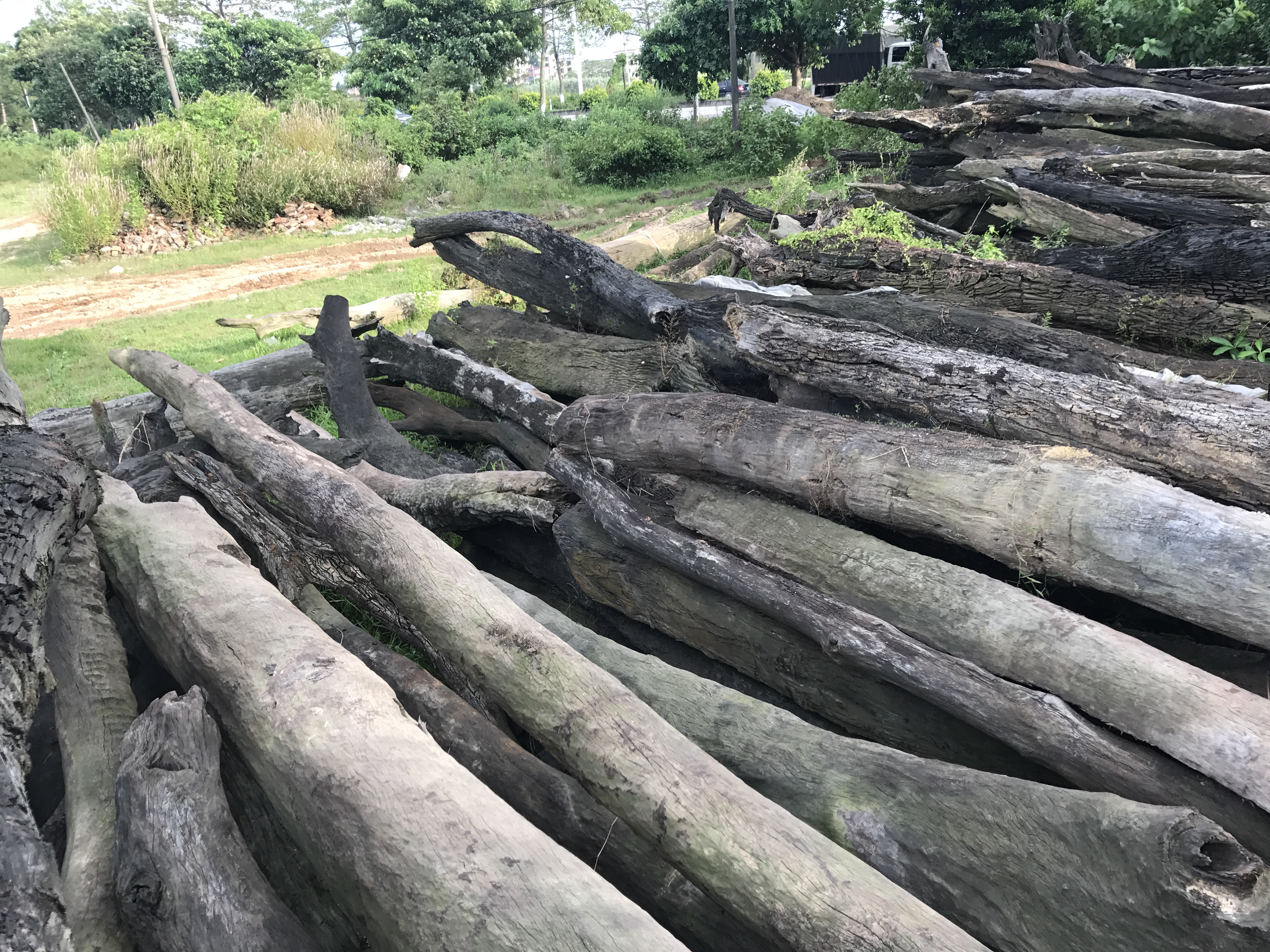 乌木佛珠手串怎么盘,手工金丝楠木佛珠手串图