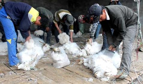 八旬老人手艺绝活,兰州老手艺