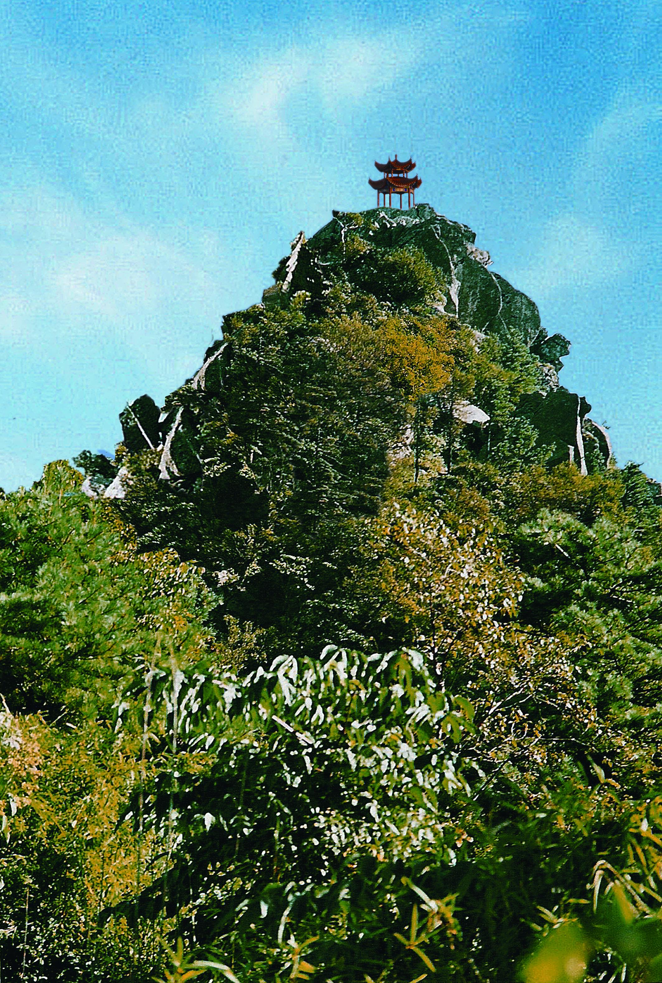 白云山森林氧吧图片,栾川白云山森林氧吧