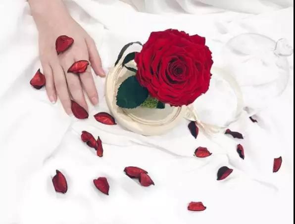 永生花是什么花,永生花被淋了