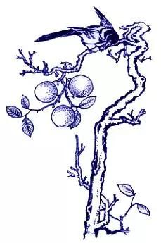 这些中国传统吉祥图案你见过几个？知道图案寓意吗？