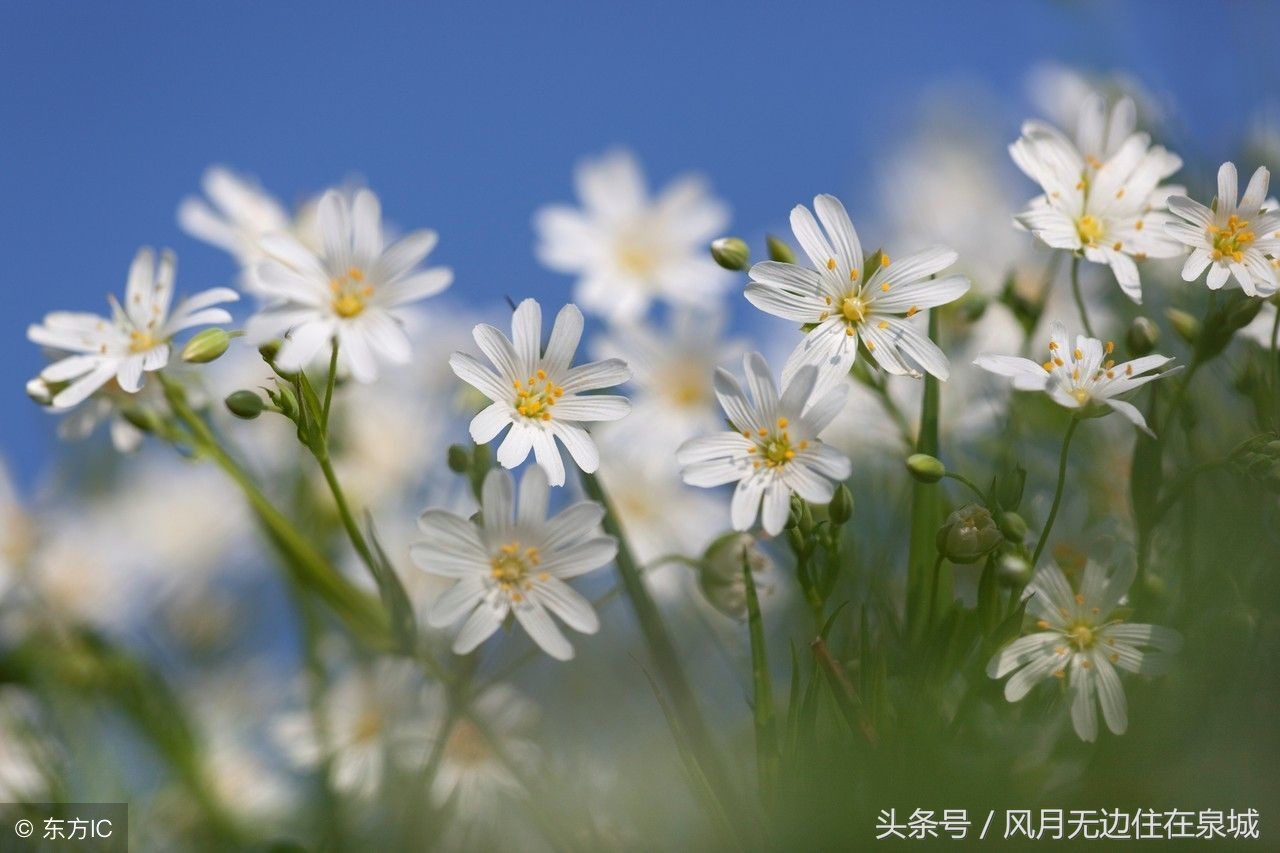 明年起哪些费用全部取消,3月1日起哪些费用全部取消