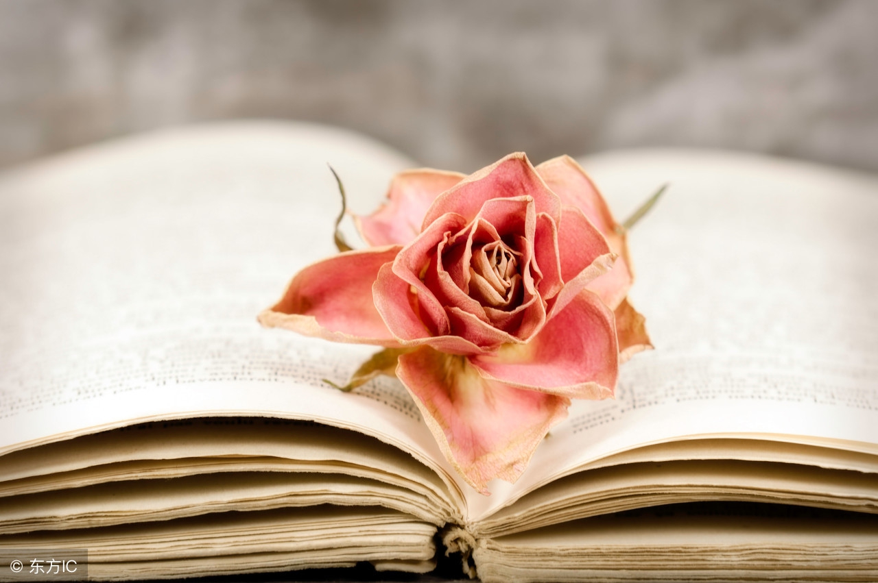 实体店引流的常见的16个引流模型,免费模式引流盈利方案