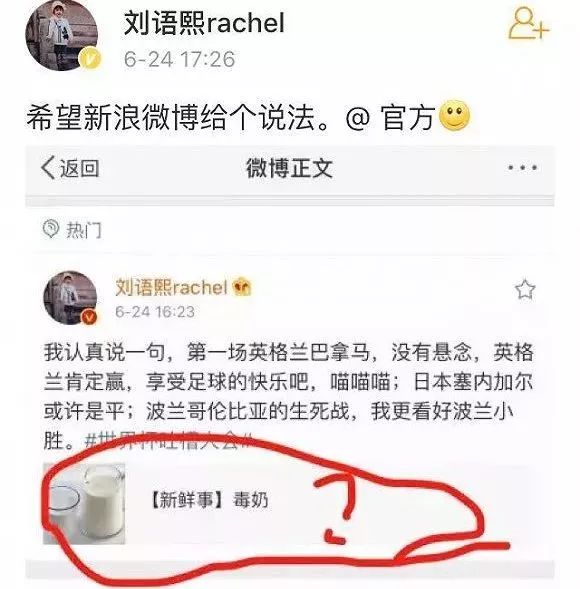 世界杯快乐足球比分,世界杯欢乐盛宴
