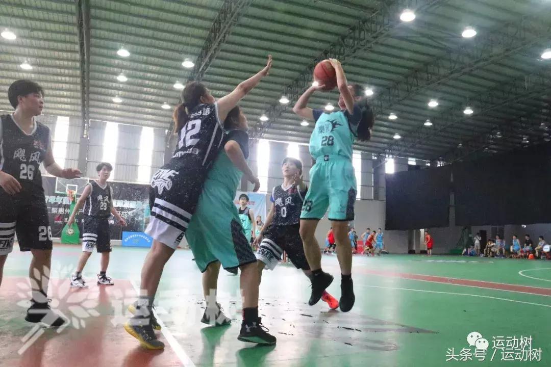 篮球嘉年华总决赛,篮球嘉年华总决赛谁赢了