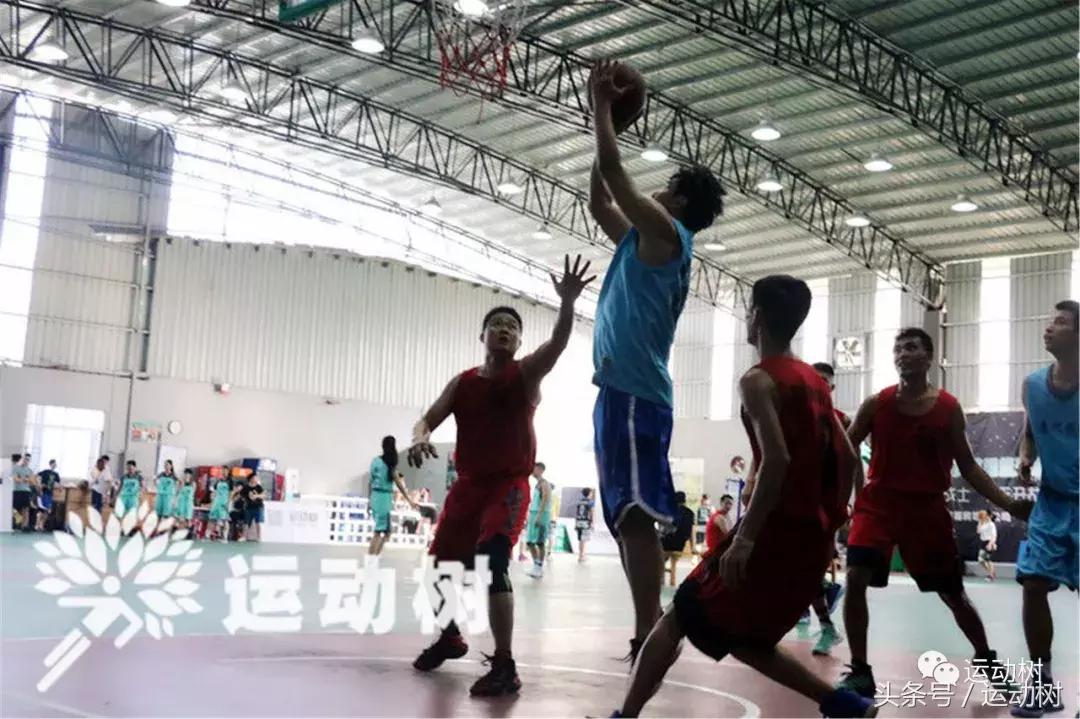 篮球嘉年华总决赛,篮球嘉年华总决赛谁赢了