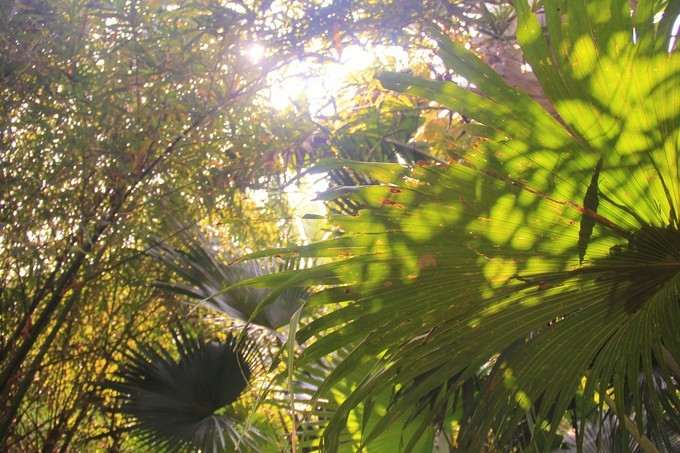 恋上这片海,一个人绚丽多彩的三亚自由行