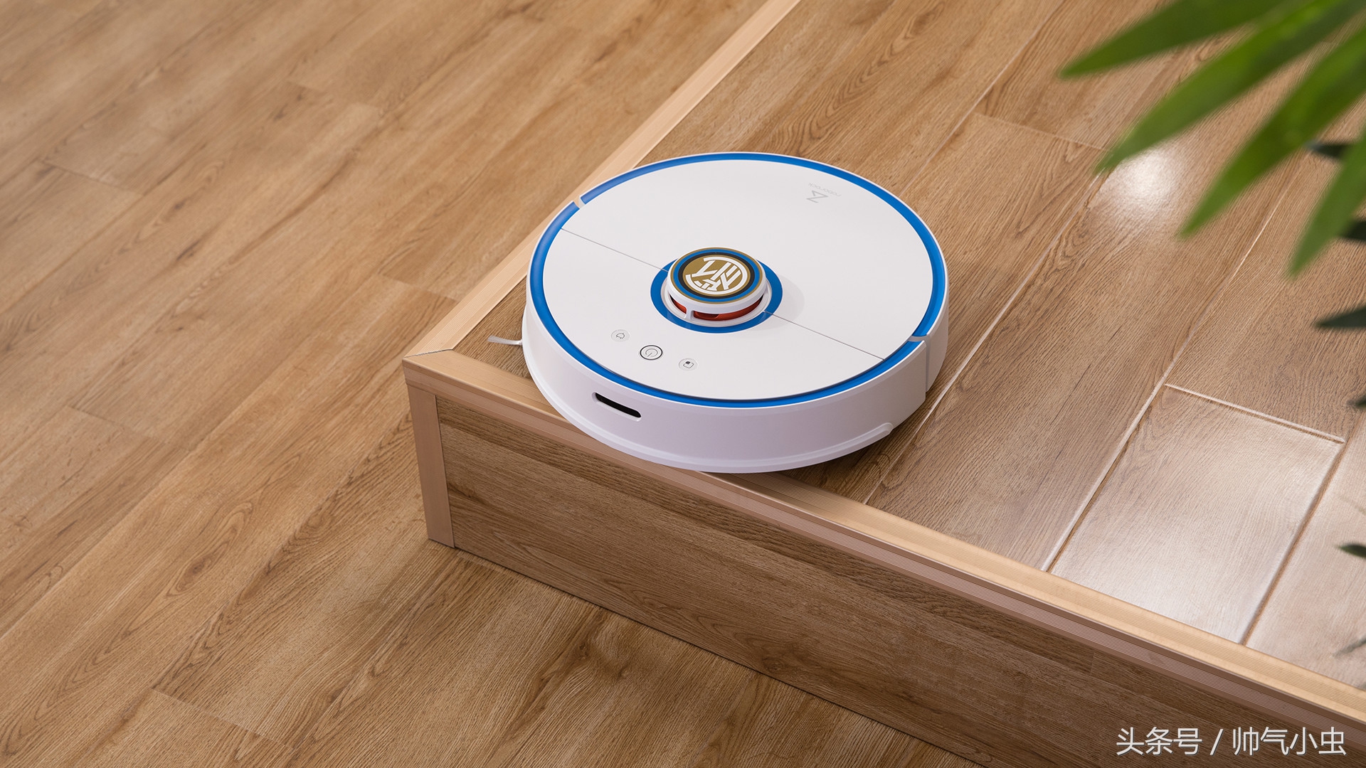 小米生态链与乐视生态,小米生态链跨界合作