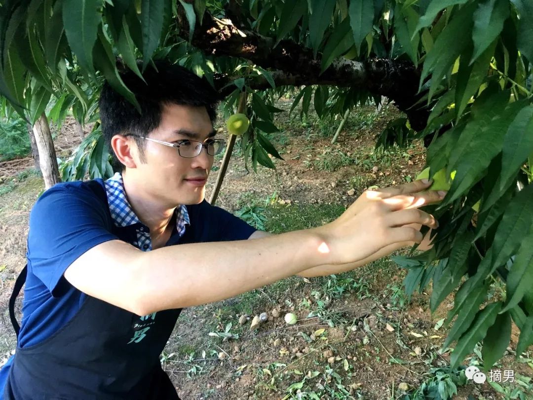 又脆又甜连平鹰嘴桃,连平正宗鹰嘴桃