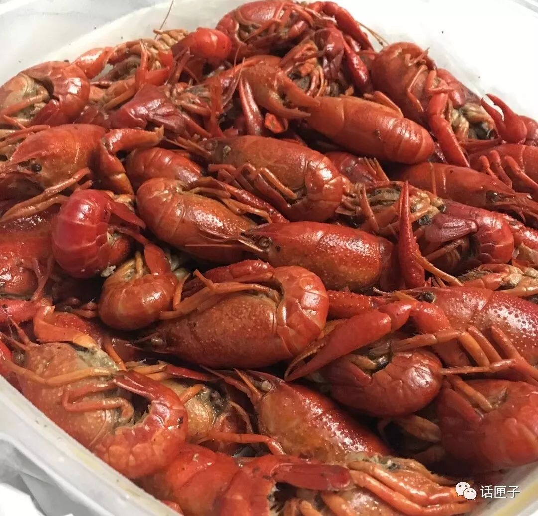 上海虹口体育场改造最新消息,上海虹口大型综合商业体育场馆