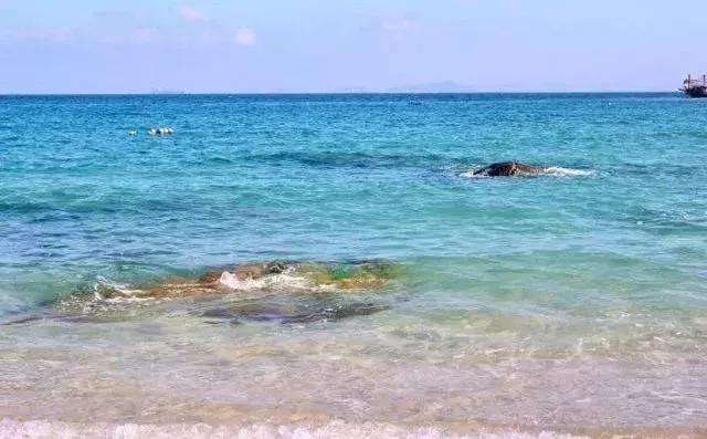 东莞游玩排名第一的海岛,东莞海岛观光旅游