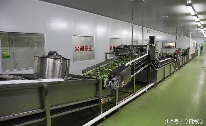 全国唯一！海沧这个地方生产的蔬菜，“洗澡”以后就能直接下锅