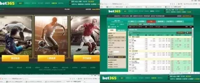 净网2019网络陷阱,净网2019陷阱