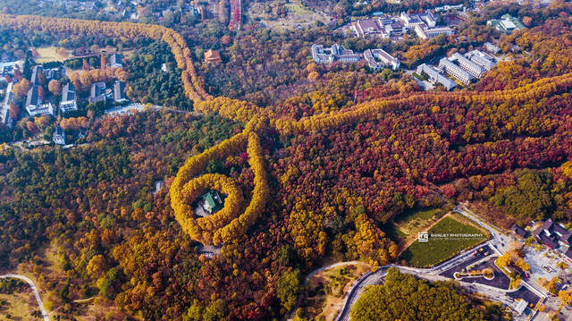 南京比较火的小众东西,南京比较好玩又小众的地方