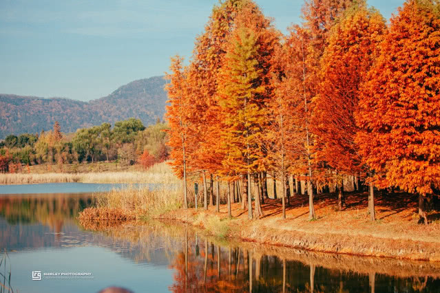 盘点被抖音带火的旅游城市,南京有啥小众好玩的