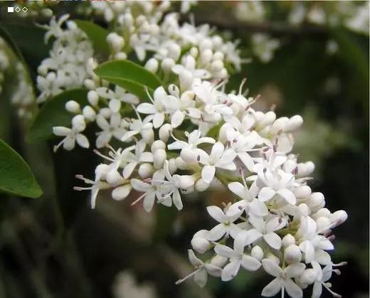 这样的书房设计你们喜欢吗,这样的书房设计你喜欢吗