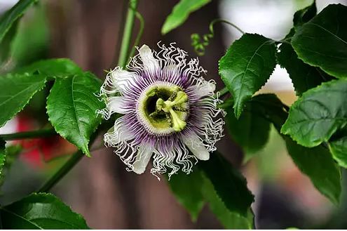 这样的书房设计你们喜欢吗,这样的书房设计你喜欢吗