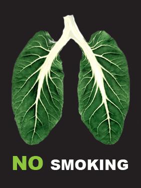 开车抽烟不开窗的办法,车内抽烟烟味多久消散