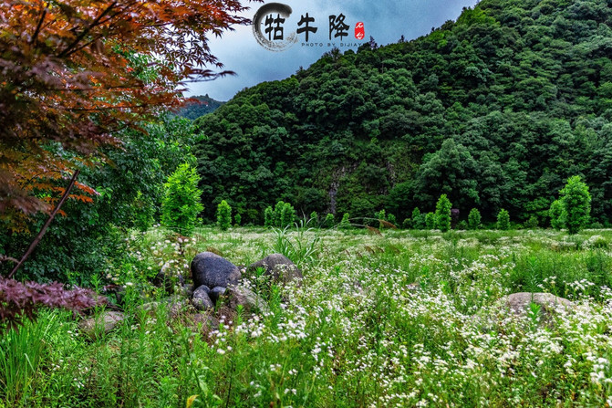 石台牯牛降风景区攻略一日游图片,安徽牯牛降风景区自驾游攻略图