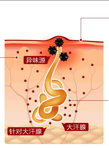 lavilin兰味莲祛味膏盒装,兰味莲走珠止汗露和安利哪个好用