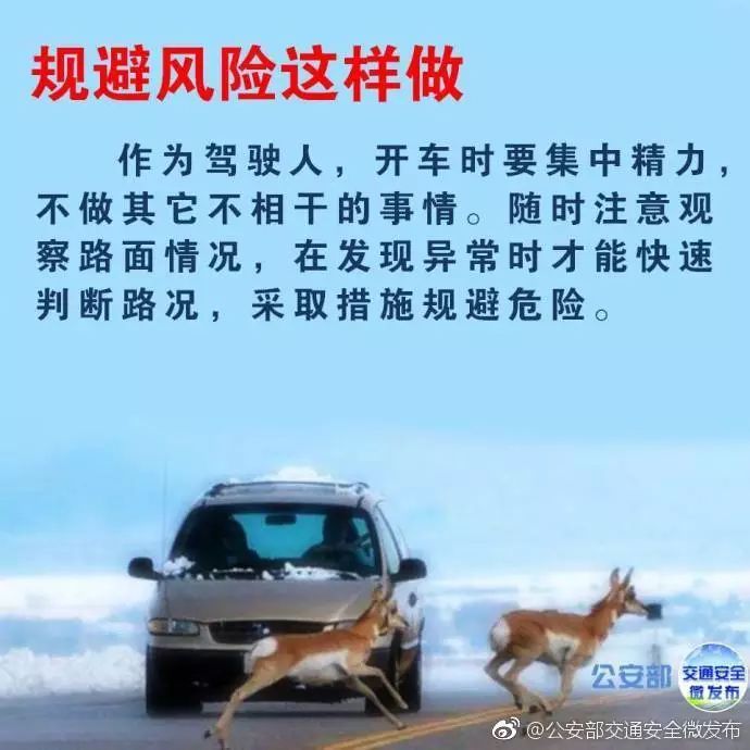 高速知识贴,高速撞死小动物怎么化解