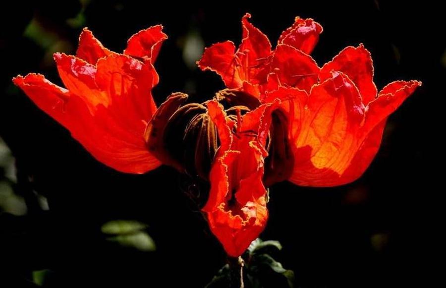 美图美文美情（周延锋）：幸福从来就有多种姿态