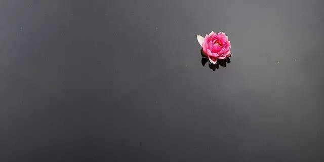 关于古人书法书论,古人书法精髓100例