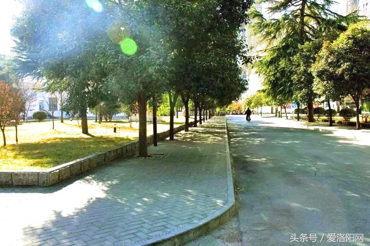 再见再见渡边淳一小说简介,再见原作