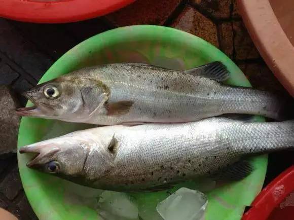 日照有什么好玩的地方,日照金山