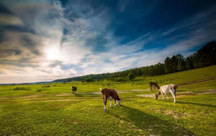 天津出发两小时能到达的地方,天津出发一日游坐火车
