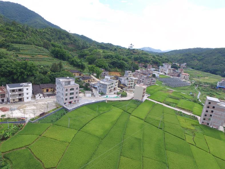 广东云浮振兴乡村,云浮云安乡村振兴工程