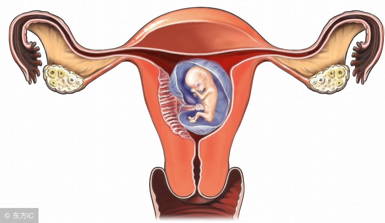 你的“大姨妈”是什么颜色？出现6种颜色要当心，可能是妇科疾病