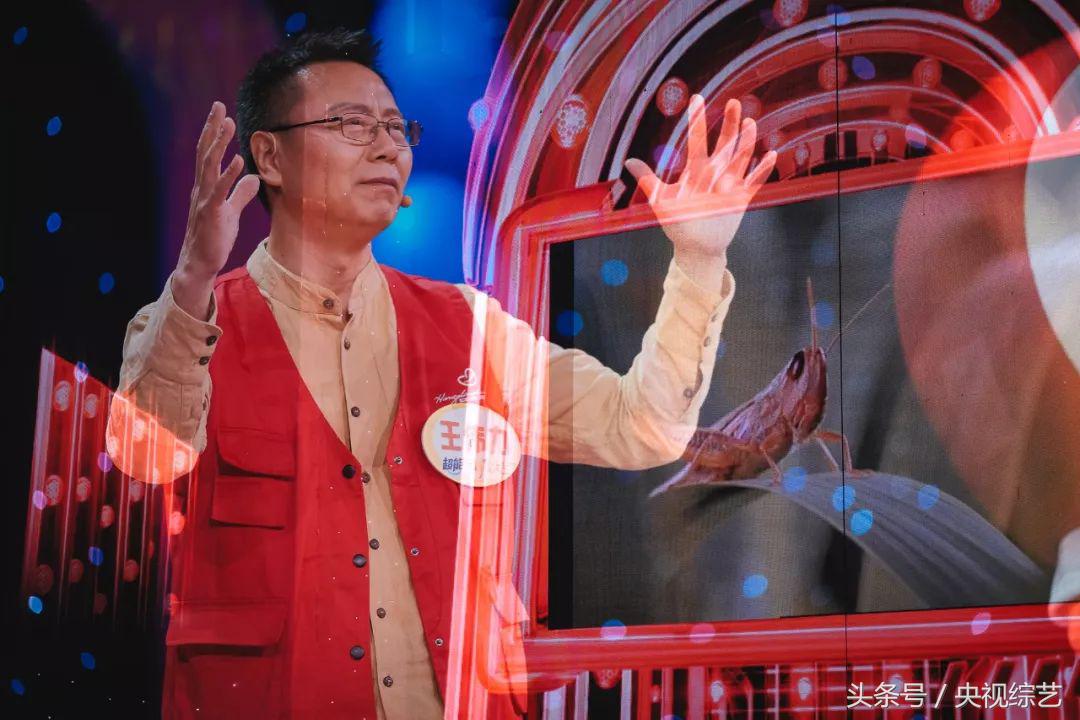 体育解说员刘星宇简介,体育解说员刘星宇啥嗓音