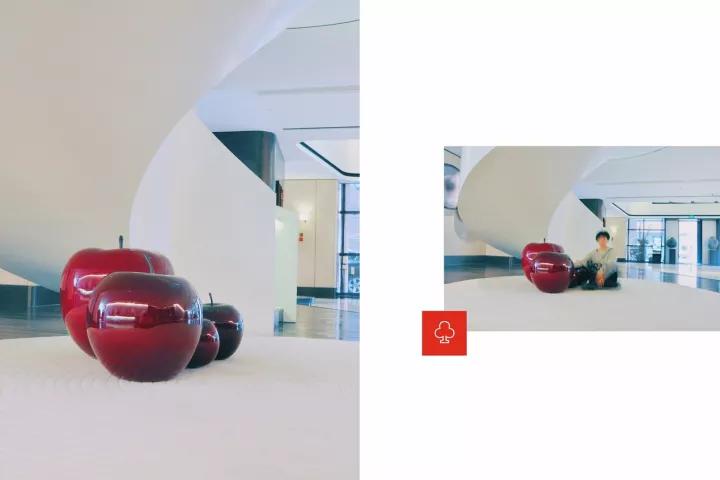 墨染芳华歌曲视频,1982墨染芳华