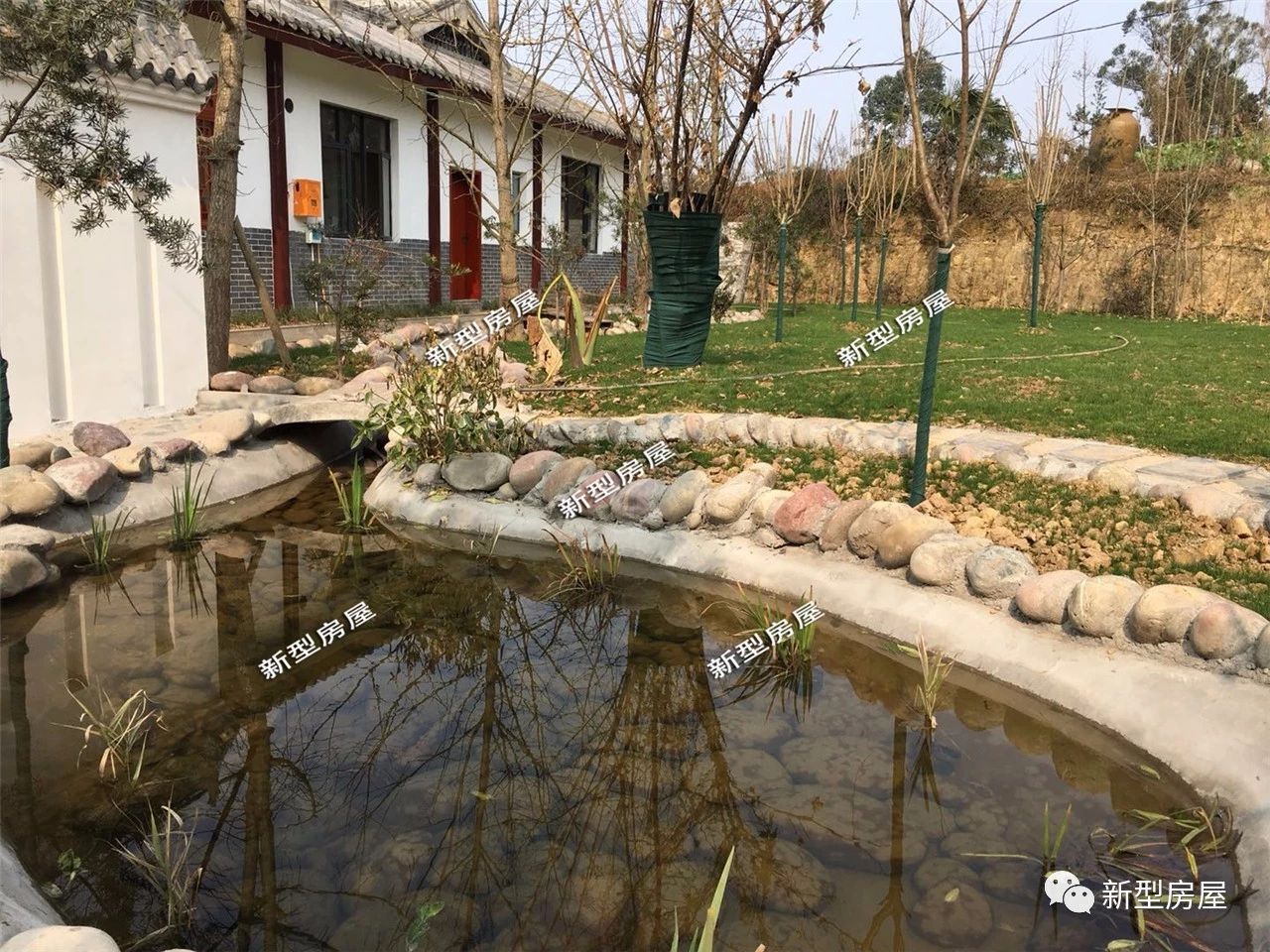 没有过滤器鱼池水发绿怎么解决,农村鱼池怎么保持水清澈