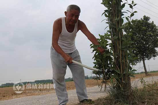 退休教师马敬好无私奉献暖人心