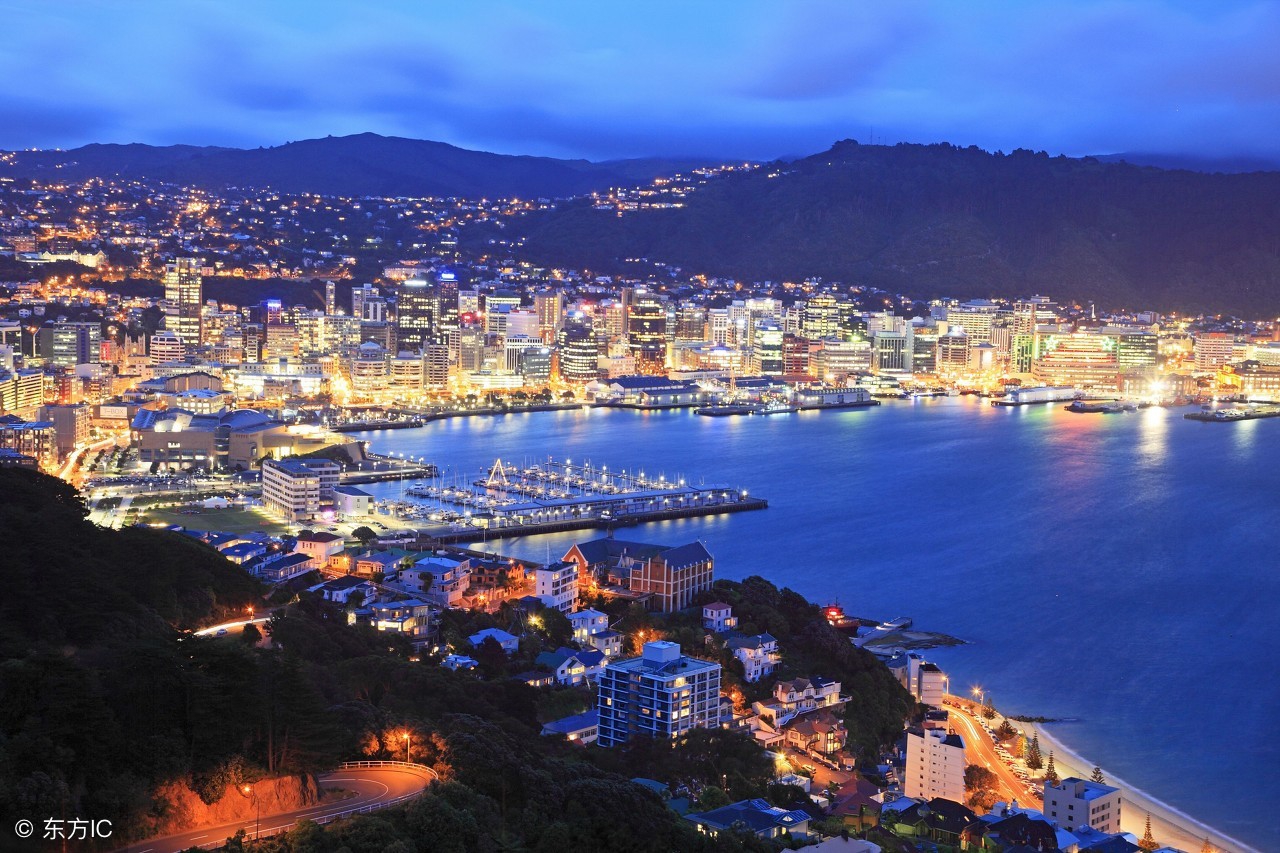 新西兰乳品大国,新西兰奶制品出口排名