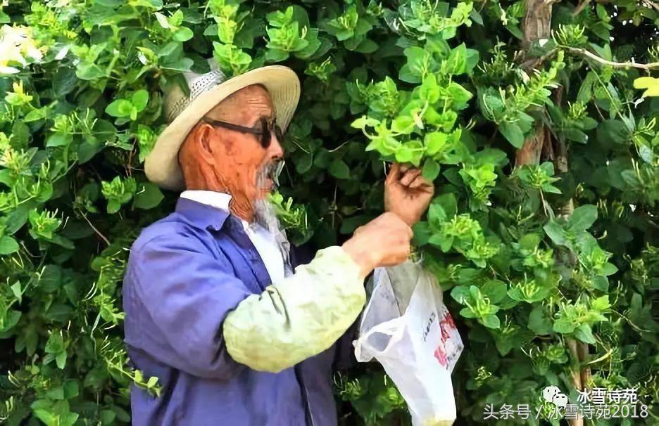 「诗家风采」杜先刚｜归乡偶记