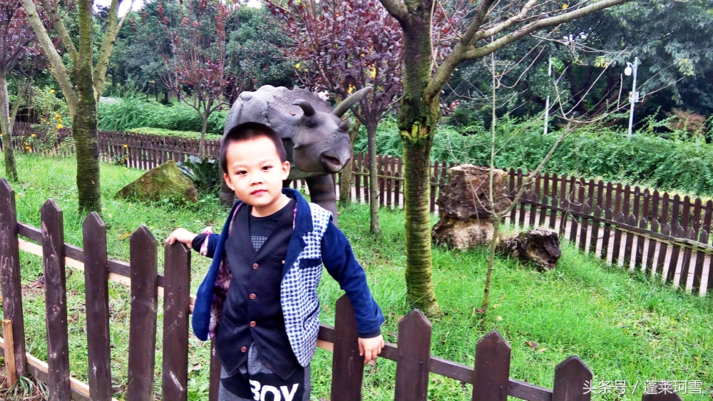 自贡恐龙博物馆展示是真恐龙吗,自贡恐龙博物馆可以现场购票吗